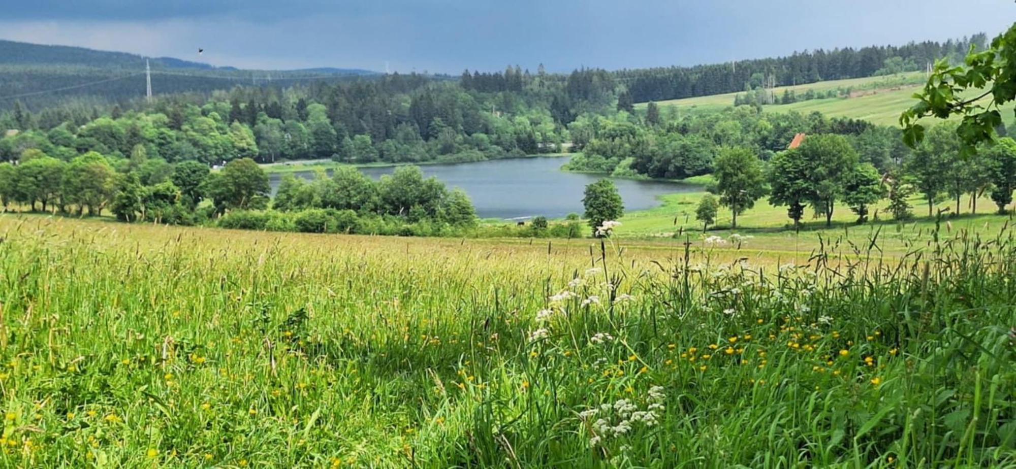 Mai-Ferienhaus-Harz 210Qm Clausthal-Zellerfeld Εξωτερικό φωτογραφία