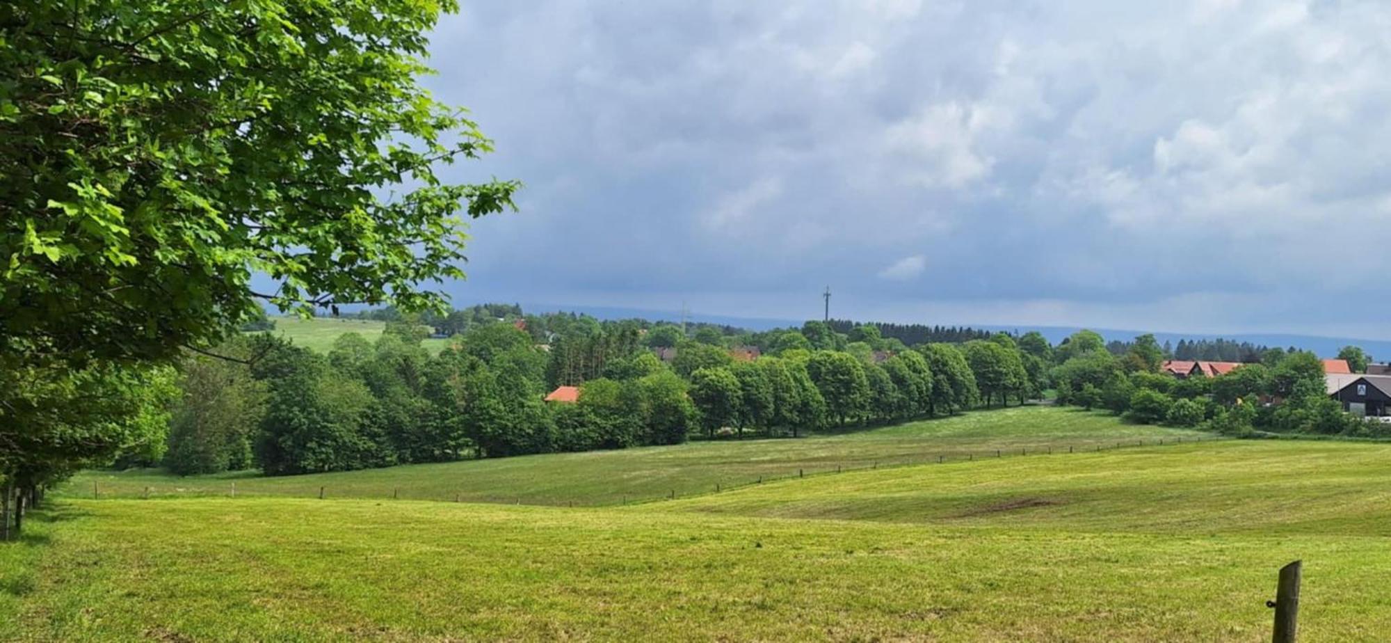 Mai-Ferienhaus-Harz 210Qm Clausthal-Zellerfeld Εξωτερικό φωτογραφία