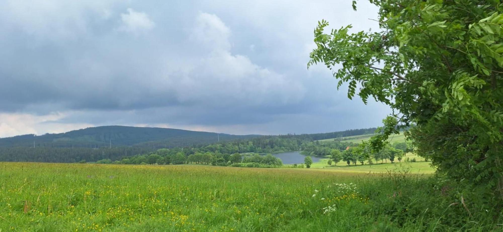 Mai-Ferienhaus-Harz 210Qm Clausthal-Zellerfeld Εξωτερικό φωτογραφία